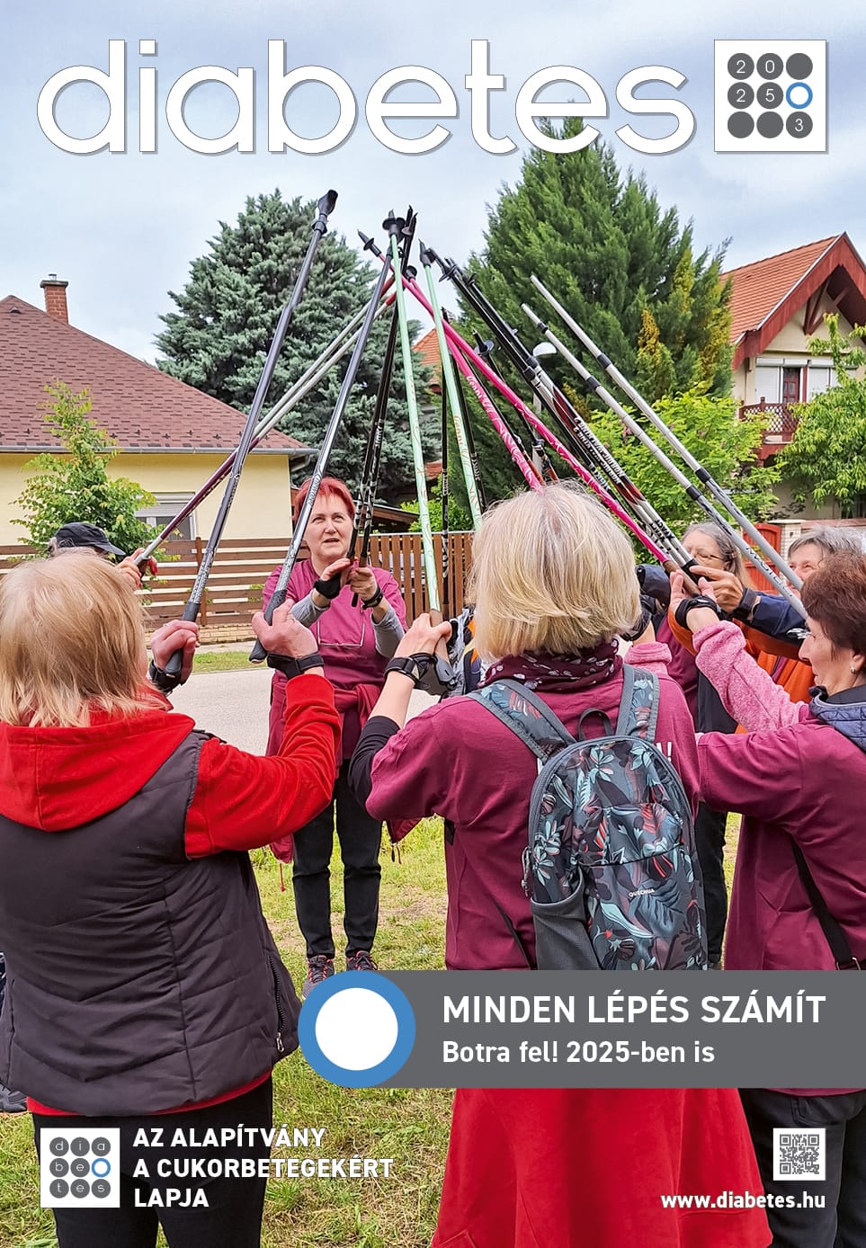 Diabetes és Hypertonia – közületeknek (2025, 6+2 lapszám)