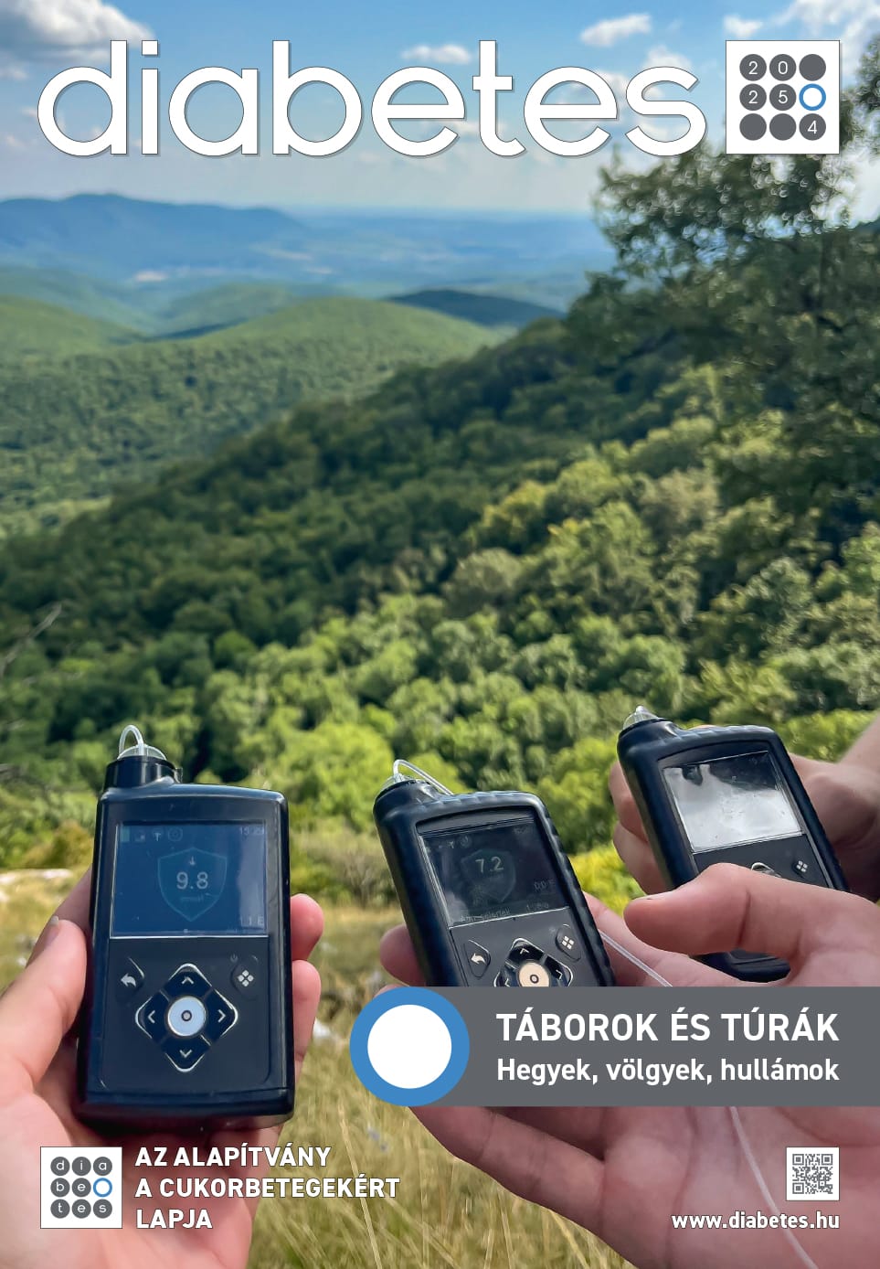 Diabetes – közületeknek (2025, 6 lapszám)