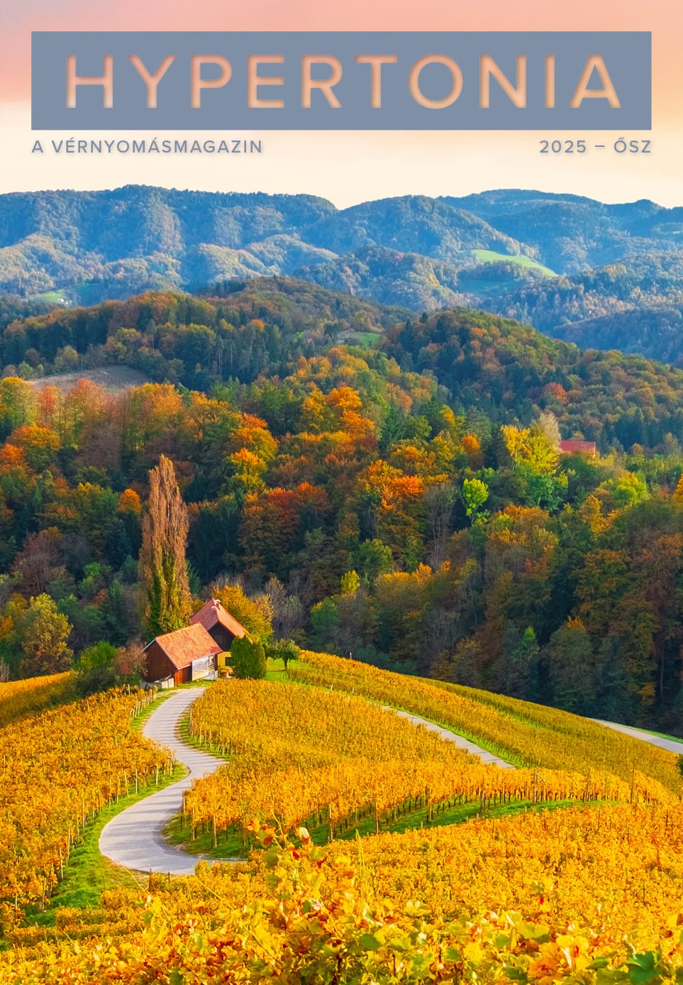Diabetes és Hypertonia – közületeknek (2025, 6+2 lapszám)